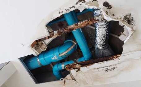 Signs Septic Tank Service